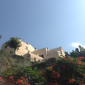 B&B Lacrema